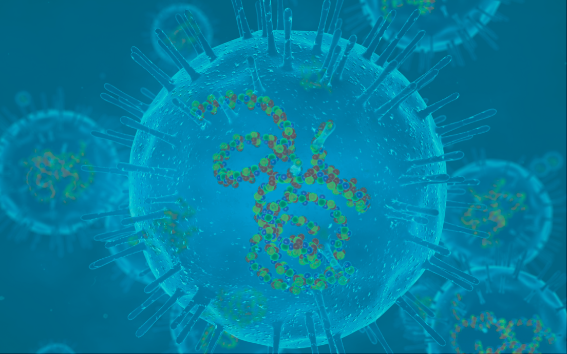 illustration of rubeola